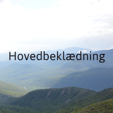 Hovedbeklædning/Handsker